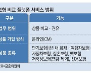 이르면 연말 네이버·카카오서 車보험 비교