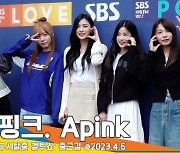 에이핑크(Apink), 우리 핑크 D N D 꼭 들어주세요~ 꼭이요~(두시탈출 컬투쇼 출근길)[뉴스엔TV]