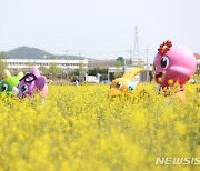 고성군 안뜰 경관농업단지, 14일부터 봄꽃축제 연다