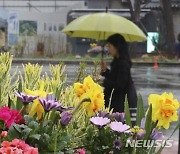 [오늘날씨]중부지방 등 빗방울…전국에 강풍