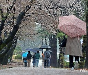 전국에 옅은 봄비…인천 등 중서부 미세먼지 '나쁨'