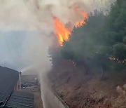 산불로 1632㏊ 소실 충남 5개 시군 '특별재난지역' 선포