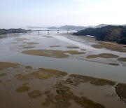 보성 벌교 갯벌, 해수부 생태계 복원사업 공모 선정