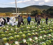 동해시, 농촌에 ‘일손돕기 기동단’떴다