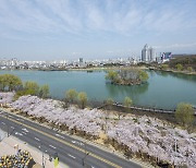 법원 “수성못 일대 무단사용 토지사용료 내야”