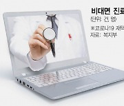 비대면 진료 80%는 전화 진료···"화상 진료 원칙으로 해야"