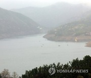 광주·전남 사흘간 최대 126.5㎜ 단비…"가뭄 해갈 일시적 도움"