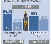 [그래픽] 북핵 위협 대응 어떻게 해야 하나