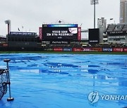 프로야구 수원·인천 경기 노게임…수원은 3연전 모두 취소(종합)