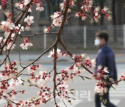 토요일 아침 쌀쌀…강원내륙 영하 5도[내일날씨]