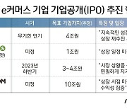 [격변의 e커머스]<下>혹한기 뚫고 상장 재시동 걸까