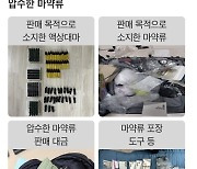 39만명 동시 투약할 마약 압수...10대 주축 유통조직도 검거