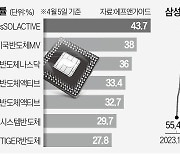 반도체 투자, 삼전보다 글로벌 ETF가 낫네