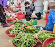 봄, 화사하게 달고 순수하게 쓰다[지극히 味적인 시장]