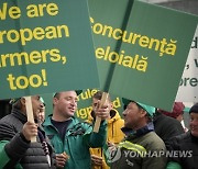 Romania Farmers Protest