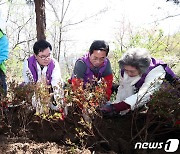 철쭉 식재하는 박일하 동작구청장