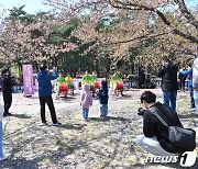 ‘벚꽃 보자’, 주말 강원도 벚꽃 명소·관광지 북적