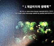 대구화훼협동조합, 13일까지 이끼숲전시회