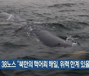 38노스 “북한의 핵어뢰 해일, 위력 한계 있을 듯”