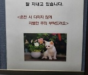 "길고양이 다치지 않게 각별한 주의 부탁" 안내문 갑론을박