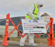 나주 오리농장서 조류인플루엔자 검출…이동 중지 명령