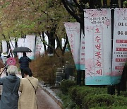 벚꽃 없는 벚꽃축제…지자체마다 대책 고심