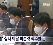 국회, '대광법' 심사 이달 하순경 착수할 듯