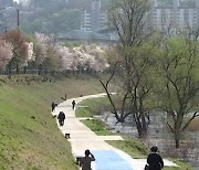 낮엔 서울 17도 강릉 22도…미세먼지 '보통' 쾌청한 휴일