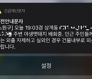 이틀 전 서울 노원구 아파트 단지로 내려온 멧돼지 사살