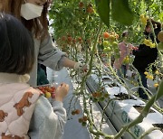 광주농업기술센터, 16일까지 ‘온가족 농업사랑 체험교실’