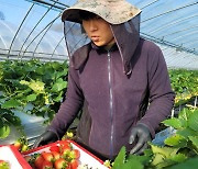 친환경농업 육성 전남도...학교급식 자재 계약재배 청년농가에 15억원 지원