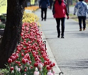 중랑천 튤립산책로 걸어요