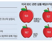 배당 쏠쏠한데 …'벤처투자펀드' 좌초하나