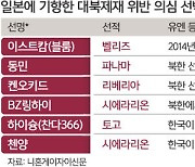 “대북제재 위반 선박 6척, 3년간 38번 日 입항”