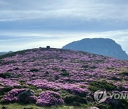 한라산 등반하던 60대 외국인 관광객 쓰러져 숨져