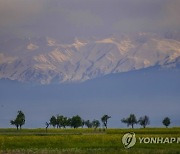 India Kashmir Agriculture