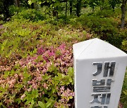 경기도, 개발제한구역 환경보전 '비상'…4년간 불법행위 2.3배 늘어