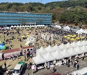 경기도청 봄꽃축제 '성황'…8만 관람객 문화공연 향유