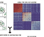 암·노화에 영향 미치는 '염색체 3차 구조' 원리 발견