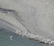 경북 청도군 운문댐 가뭄단계 ‘주의’로 상향