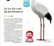 인구 감소 막을 대책