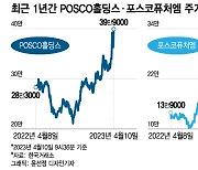 "신고가, 신고가!" 포스코 주주들 신났다…이차전지 대장株 '굳건'