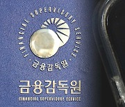 금감원, 카카오뱅크 '재해복구 전환훈련 미흡' 개선 요구