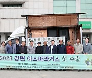 ‘강원산 아스파라거스’ 일본 수출 개시