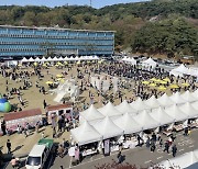 4년만의 경기도청 봄꽃축제 8만명 다녀가…벚꽃 대신 문화공연에 취하다