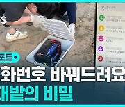 [D리포트] 갈대밭에 중계기 묻어 보이스피싱 도운 일당 검거