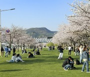 “우리도 스타 하나 만듭시다”···‘정원’이 불러온 전남의 새바람 [서경 지역 정가 레이더]