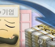 10대그룹 상장사 21곳, 별도 부채비율 200% 넘어