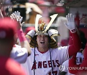 Blue Jays Angels Baseball