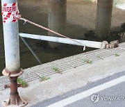 쓰러진 성남 분당 돌마교 보행로 임시 보강구조물